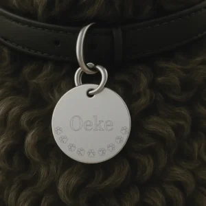 Roestvrijstalen hondenpenning met pootjesdecoratie bevestigd aan de halsband van een hond