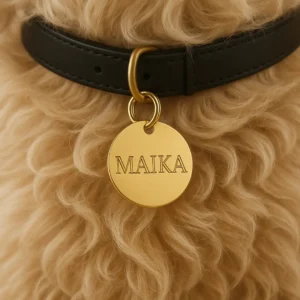 Roestvrijstalen hondenpenning met pootjesrand bevestigd aan de halsband van een hond