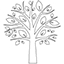 levensboom kl